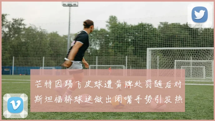 芒特因踢飞皮球遭黄牌处罚随后对斯坦福桥球迷做出闭嘴手势引发热议
