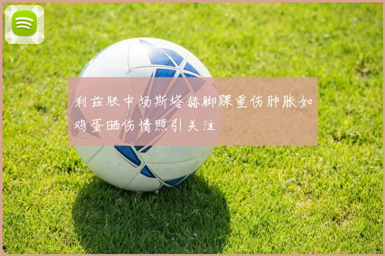 利兹联中场斯塔赫脚踝重伤肿胀如鸡蛋晒伤情照引关注
