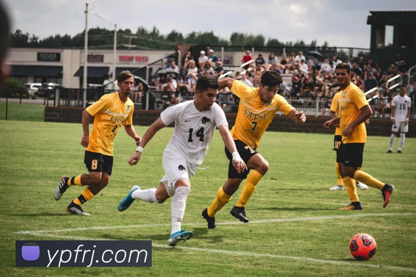 数据防护可视化